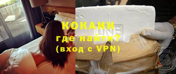 гидра Володарск
