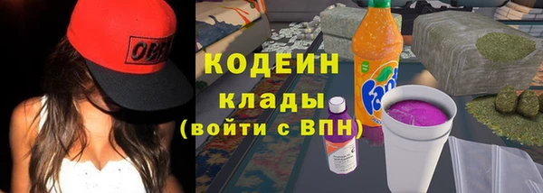 гидра Володарск