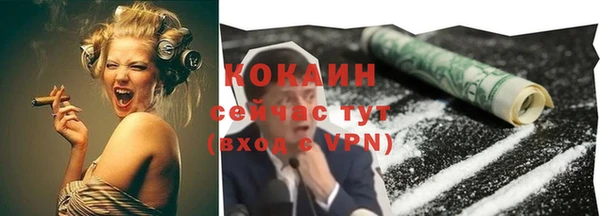гидра Володарск