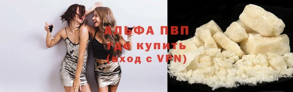 гидра Володарск