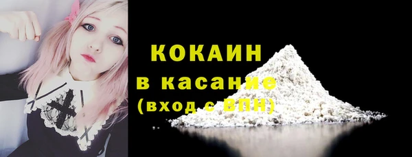гидра Володарск