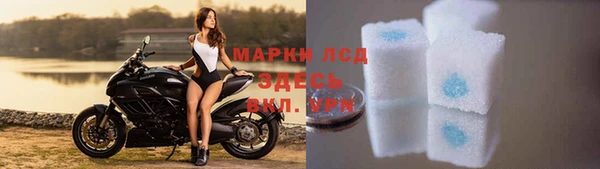 стаф Ельня