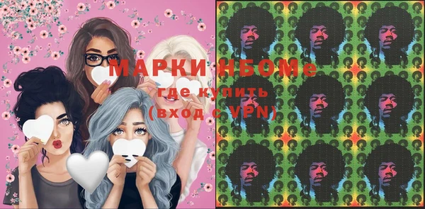 гидра Володарск
